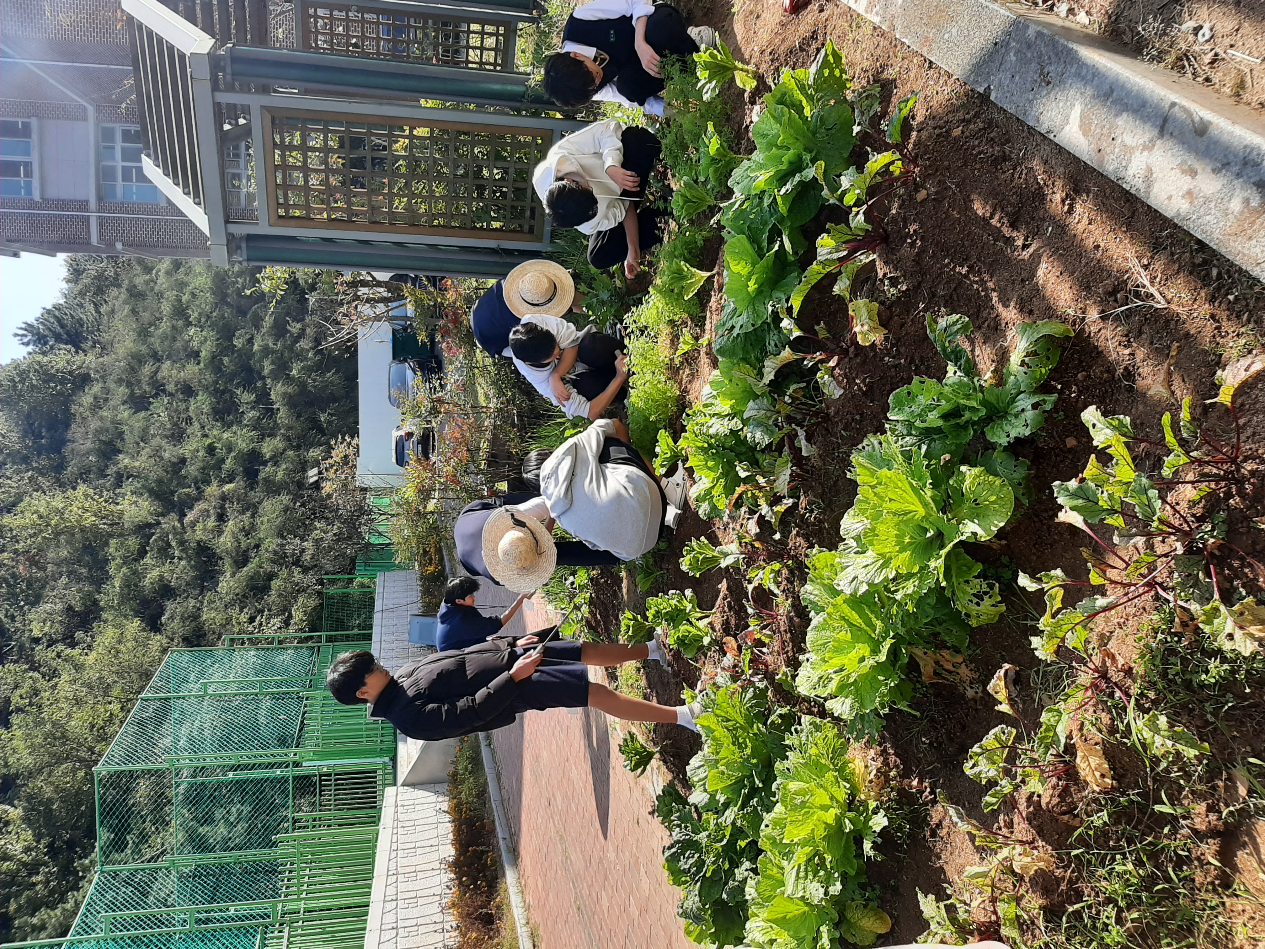 생태지킴이 활동