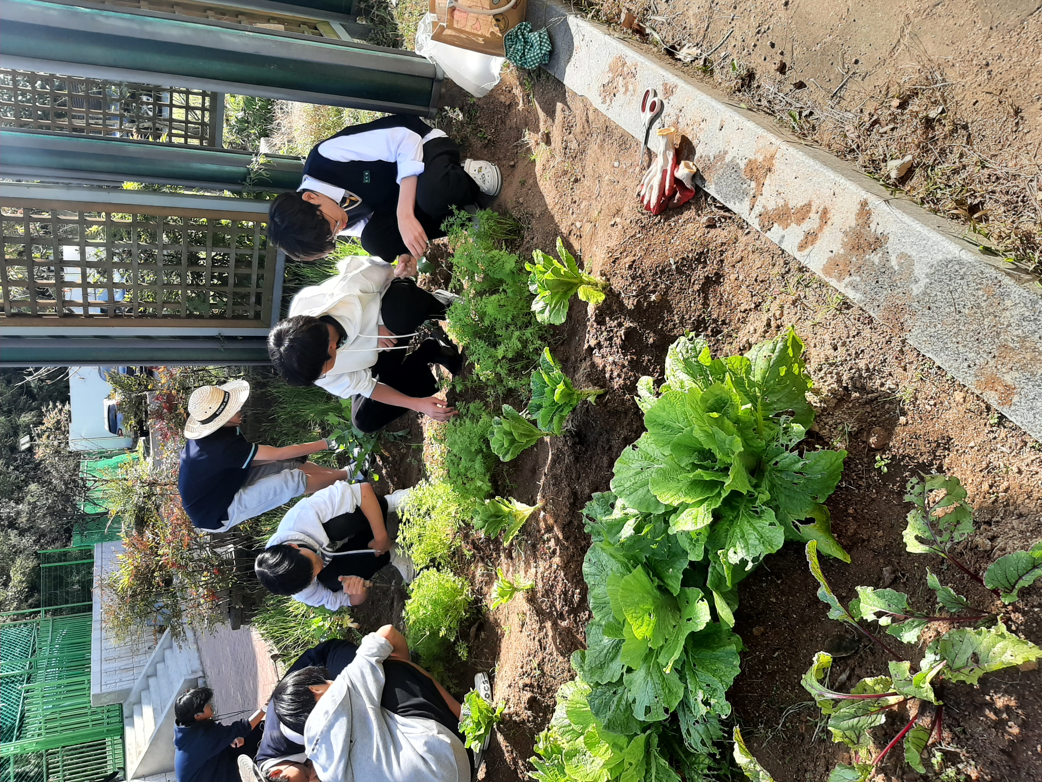 생태지킴이 활동