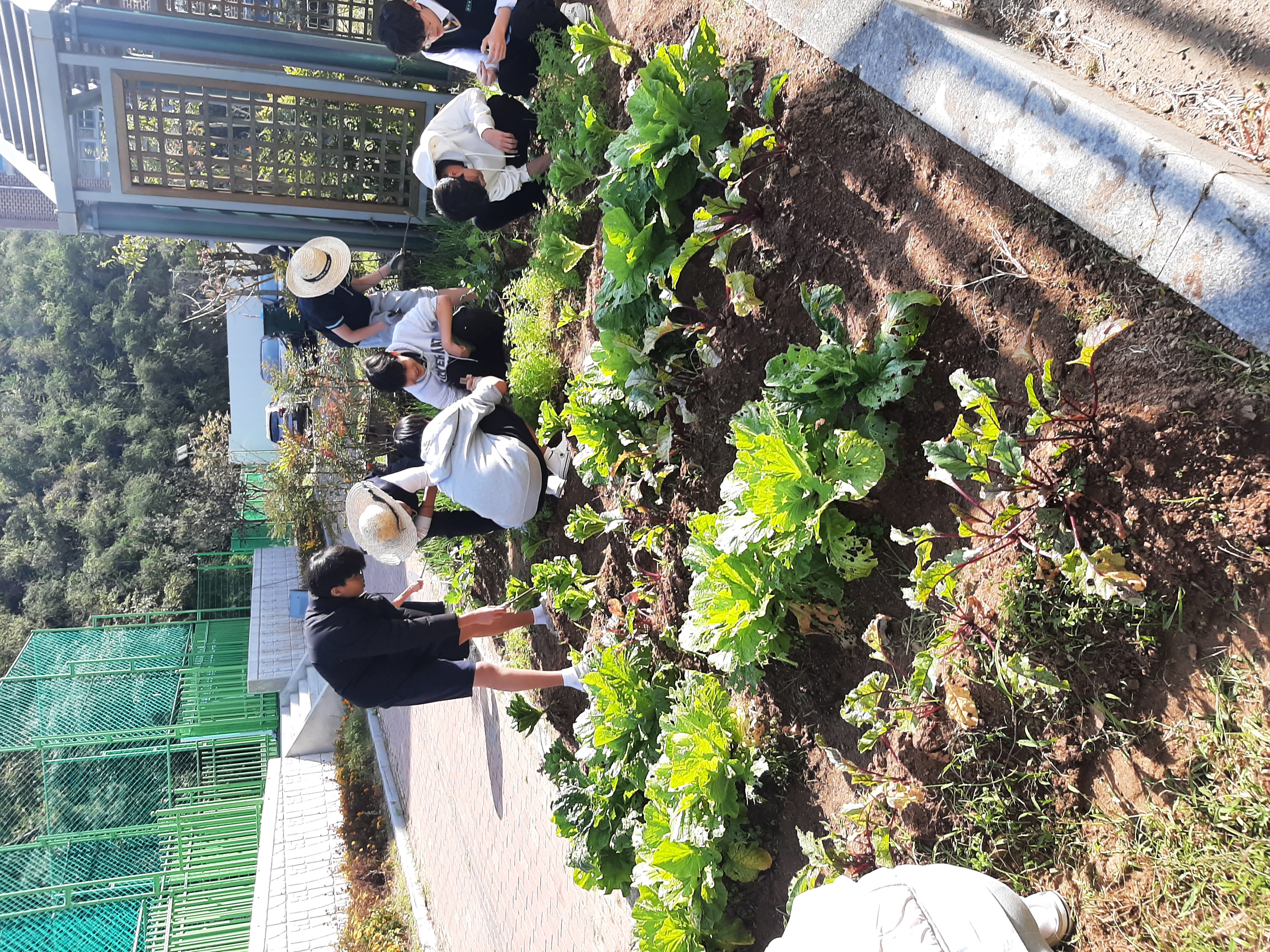 생태지킴이 활동