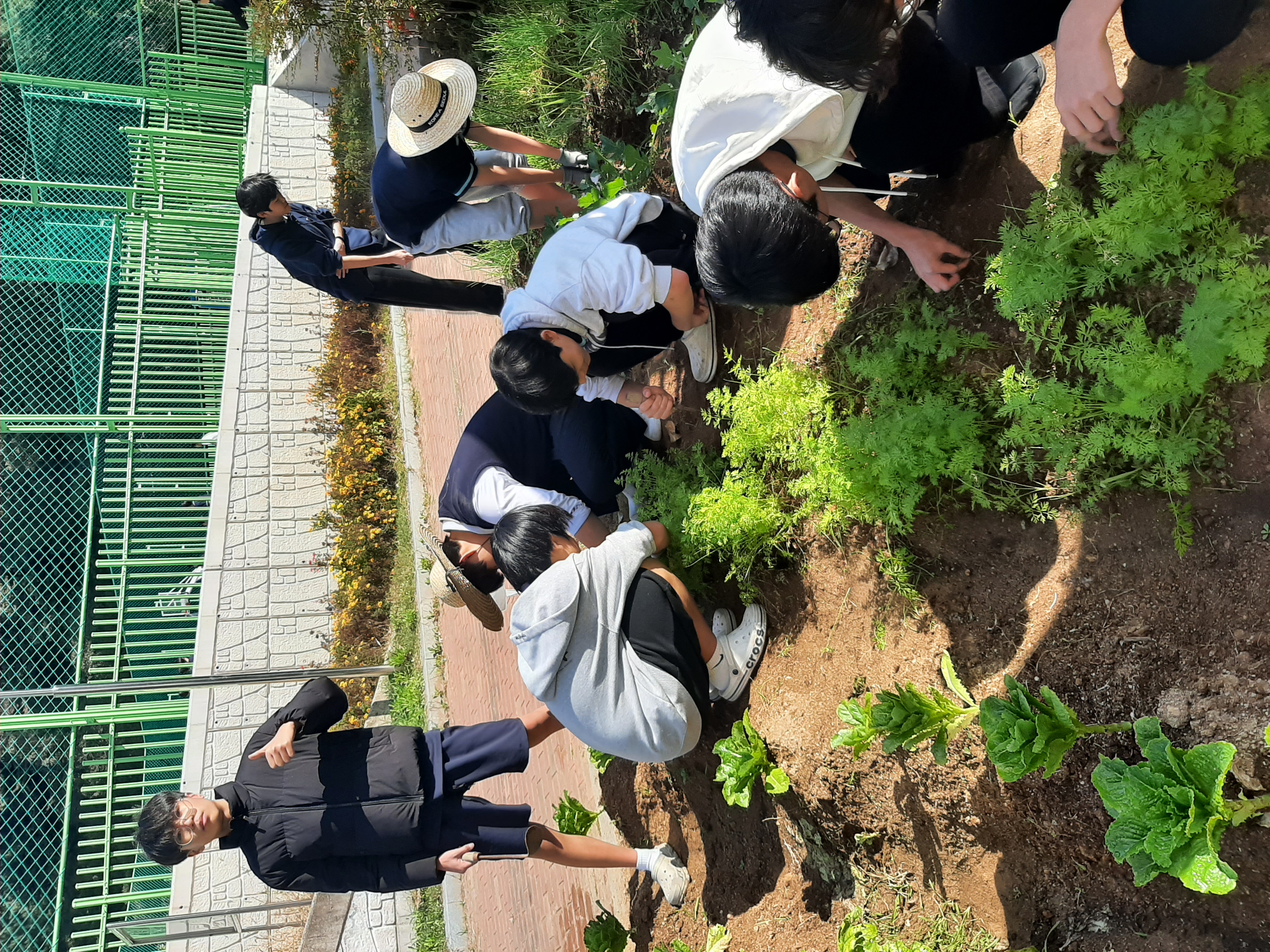 생태지킴이 활동